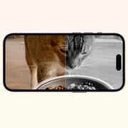 PETKIT YumShare Dual-hopper with Camera