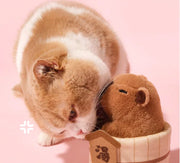 Capybara Toy