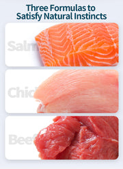 Rosy Fresh Chicken & Salmon & Beef Recipe Cat Wet Food - 100g*6 cans