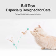 Pet Toy For Cats Bouncy Ball Type 3 PCS