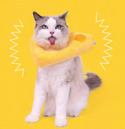 PurLab Soft E Collar - Cheese
