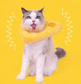 PurLab Soft E Collar - Cheese