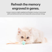 Pet Toy For Cats Bouncy Ball Type 3 PCS