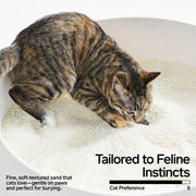 Pidan Cassava Cat litter (Non-Flushable)