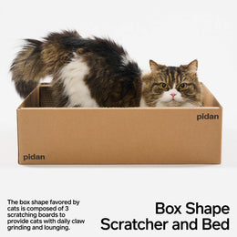 Cat Scratcher Board – Box Style