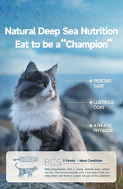 Rosy Fresh Feline Kibbles