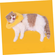 PurLab Soft E Collar - Cheese