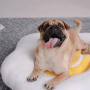 PurLab Fried Egg Pet Bed