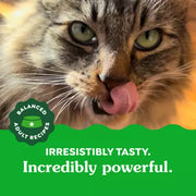 Greenies Dental Cat Treats