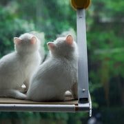 pidan Cat Window Hammock 2.0