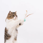 Pet Toy For Cats Bouncy Ball Type 3 PCS