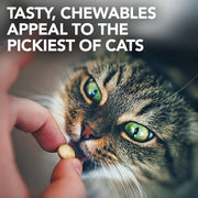 Vet's Best Cat Urinary Tract Support