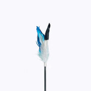 Pidan Cat Teaser Toy Accessories, A2 Feather