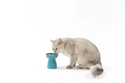 Pidan Ceramic Cat Bowl