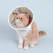 PurLab Soft E-Collar - Instant Noodle