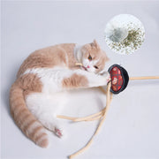 Gastronome Cat Teaser (3 Designs)