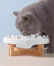 Pan’s Slow Feeding Bowl