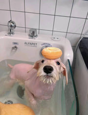 Element Party | Pet Bath Bombs