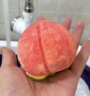 Element Party | Pet Bath Bombs