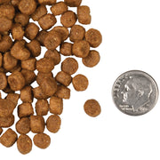 Fromm Cat Dry Food (Grain Free)